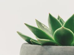 中国RoHS的解读文件(征求意见稿)